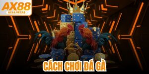 Cách Chơi Đá Gà