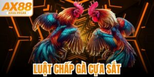 Luật Chấp Gà Cựa Sắt